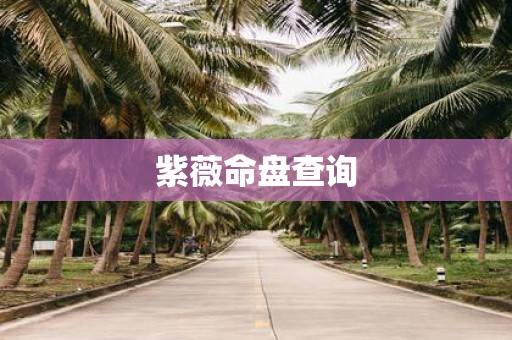 紫薇命盘查询