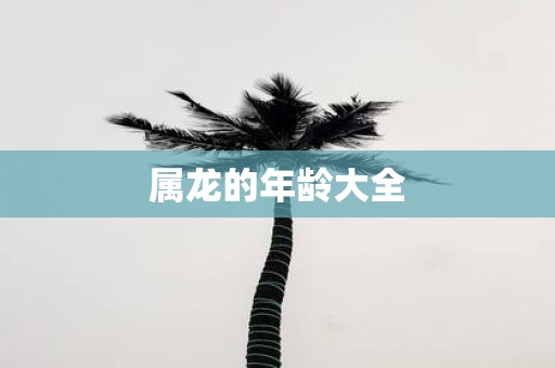 属龙的年龄大全