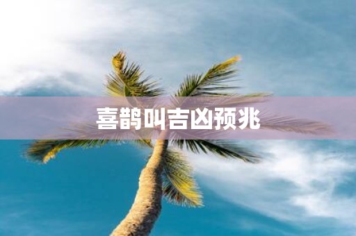 喜鹊叫吉凶预兆