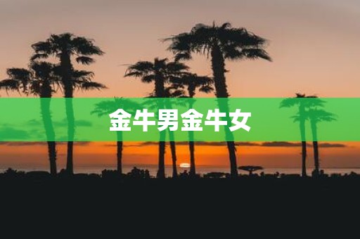 金牛男金牛女