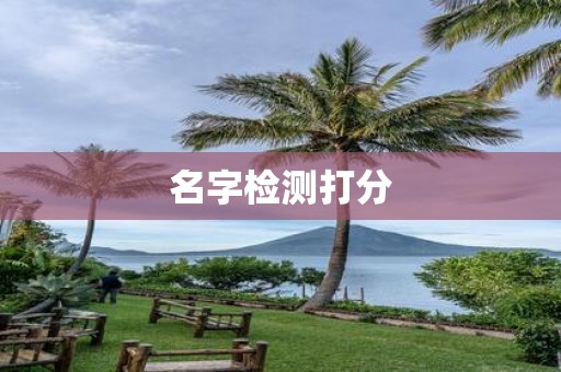 名字检测打分