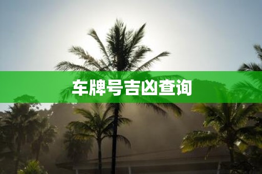 车牌号吉凶查询
