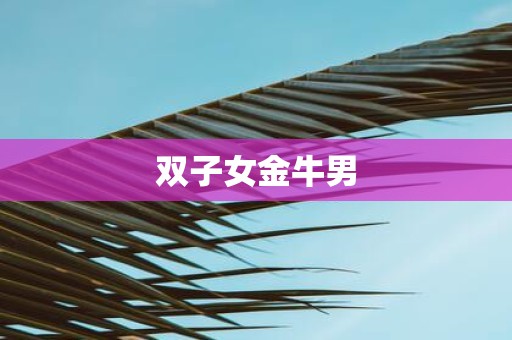 双子女金牛男 双子女金牛男