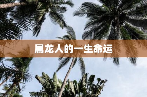 属龙人的一生命运