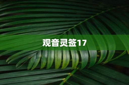 观音灵签17