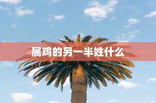 属鸡的另一半姓什么