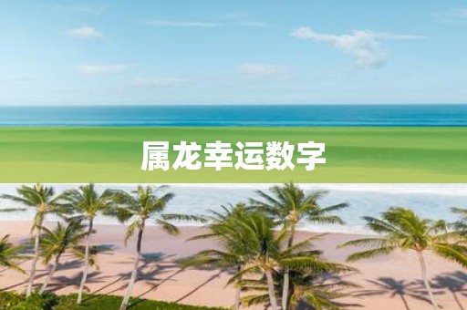属龙幸运数字