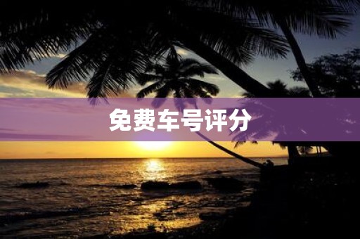 免费车号评分