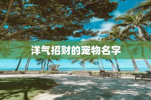 洋气招财的宠物名字