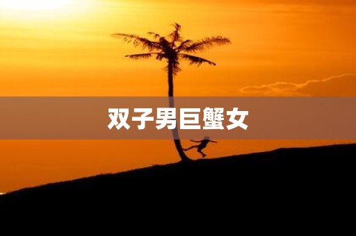 双子男巨蟹女