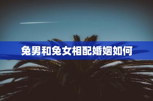 兔男和兔女相配婚姻如何