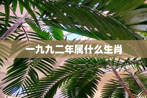 一九九二年属什么生肖