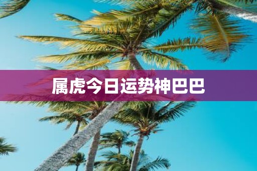 属虎今日运势神巴巴