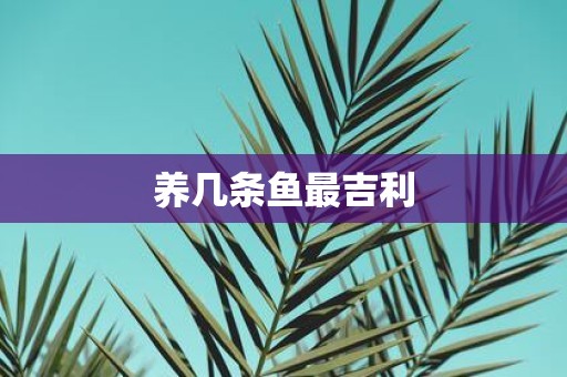 养几条鱼最吉利