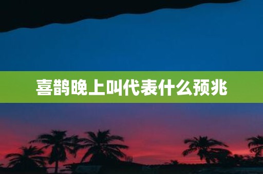 喜鹊晚上叫代表什么预兆