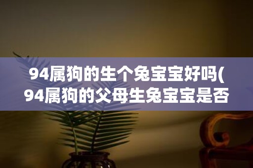 94属狗的生个兔宝宝好吗(94属狗的父母生兔宝宝是否合适？)