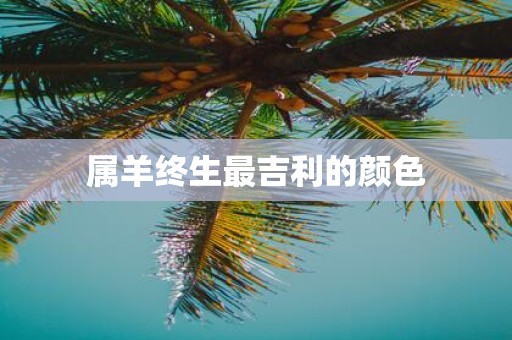 属羊终生最吉利的颜色
