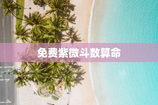 免费紫微斗数算命