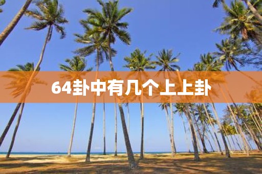 64卦中有几个上上卦