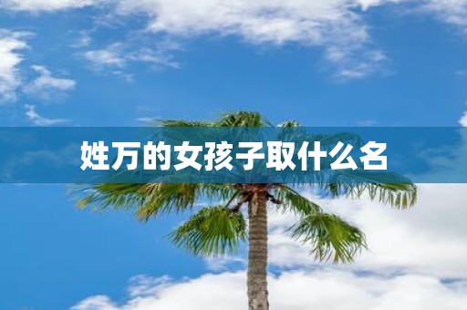 姓万的女孩子取什么名