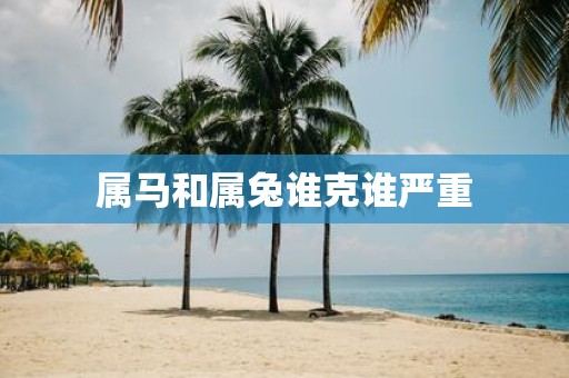 属马和属兔谁克谁严重