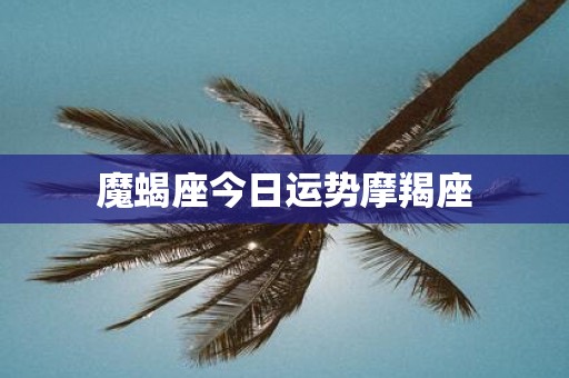 魔蝎座今日运势摩羯座