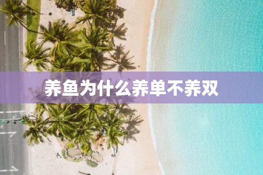 养鱼为什么养单不养双