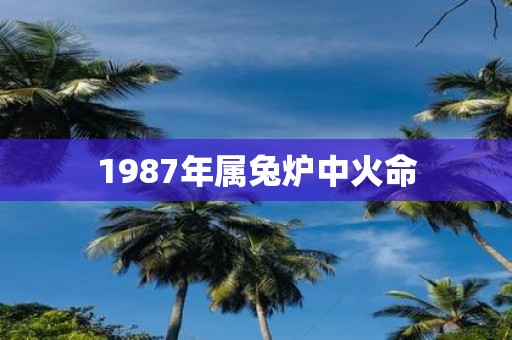 1987年属兔炉中火命