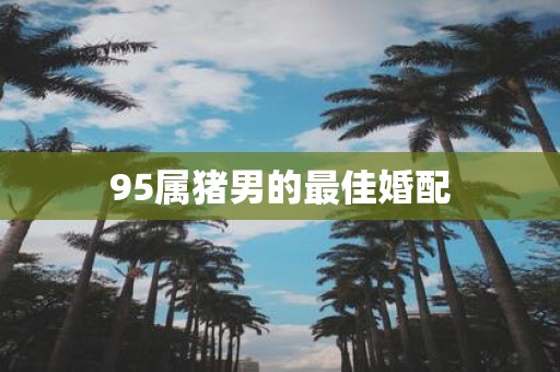 95属猪男的最佳婚配