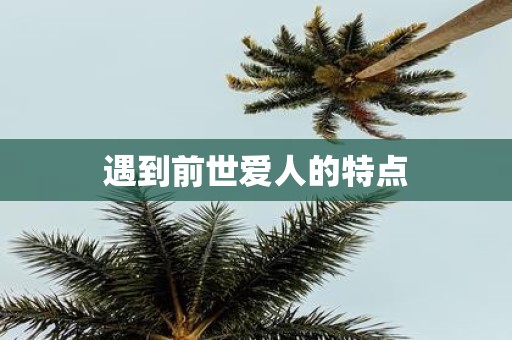 遇到前世爱人的特点