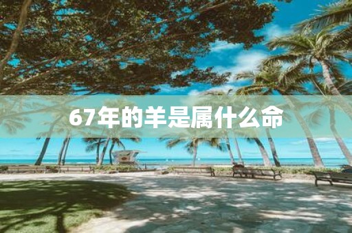 67年的羊是属什么命