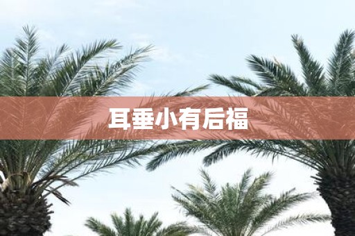 耳垂小有后福