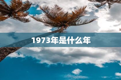 1973年是什么年