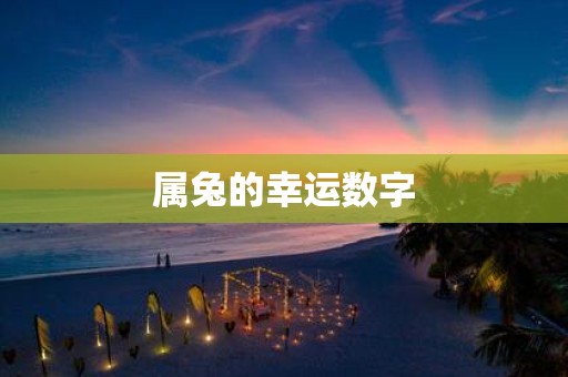 属兔的幸运数字