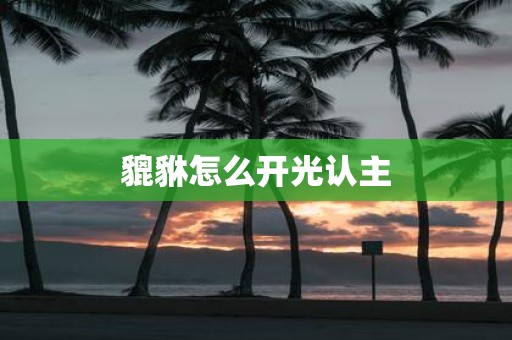 貔貅怎么开光认主