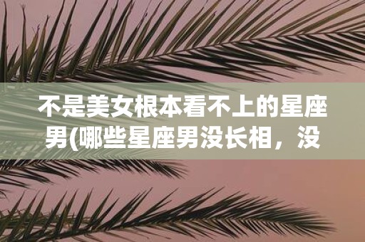 不是美女根本看不上的星座男(哪些星座男没长相，没内涵，没财富，不可能吸引美女？)