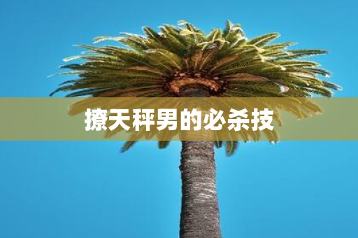 撩天秤男的必杀技