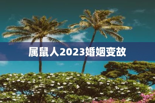 属鼠人2025婚姻变故