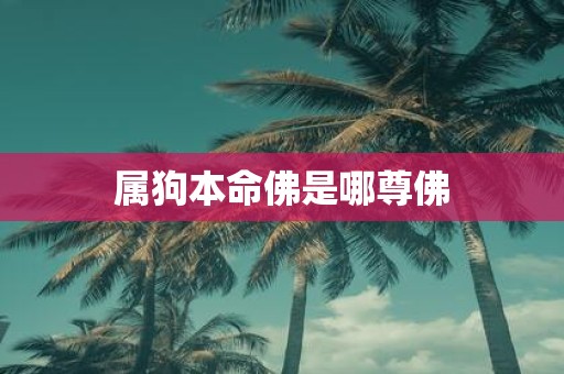 属狗本命佛是哪尊佛