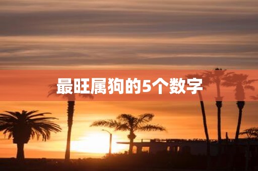 最旺属狗的5个数字