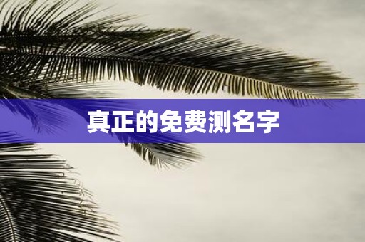 真正的免费测名字