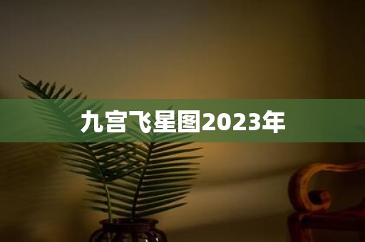九宫飞星图2025年