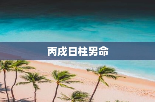 丙戌日柱男命