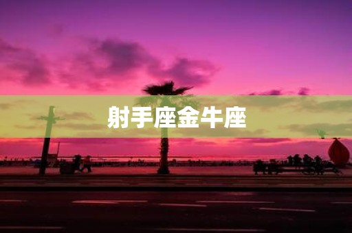 射手座金牛座