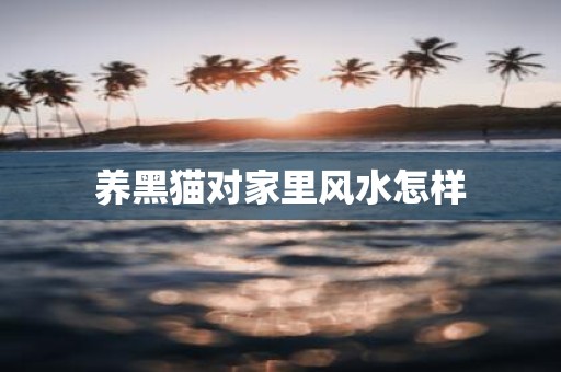养黑猫对家里风水怎样