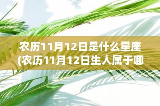农历11月12日是什么星座(农历11月12日生人属于哪个星座？)