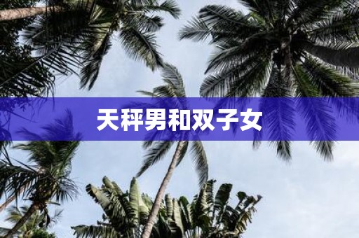 天秤男和双子女
