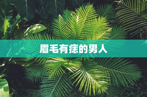 眉毛有痣的男人