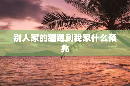 别人家的猫跑到我家什么预兆