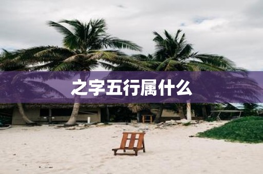 之字五行属什么